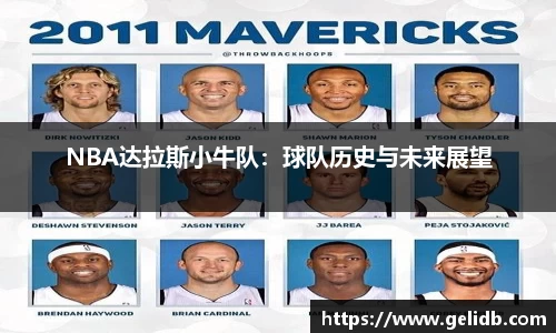 NBA达拉斯小牛队：球队历史与未来展望